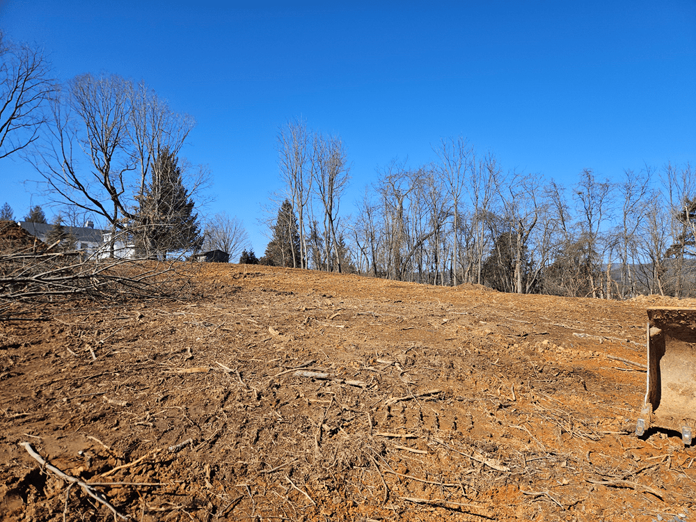 Clearing and Site Prep