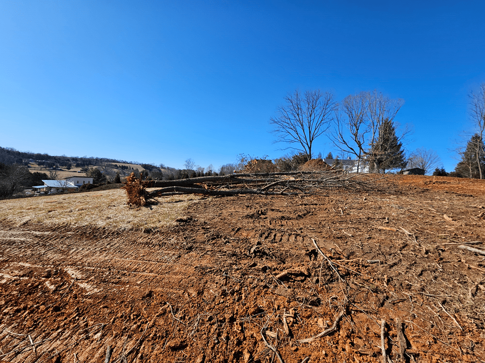Clearing and Site Prep